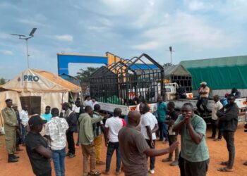 Luwero Maize Traders Defy Court Order, Further Demand UGX 2.6b from PRO Industries