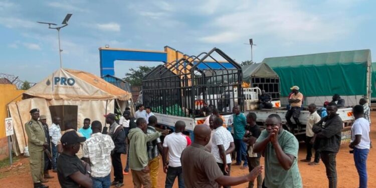 Luwero Maize Traders Defy Court Order, Further Demand UGX 2.6b from PRO Industries