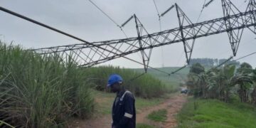 Man Sentenced to 10 Years Imprisonment Over Terrorism After Vandalising Electricity Infrastructure